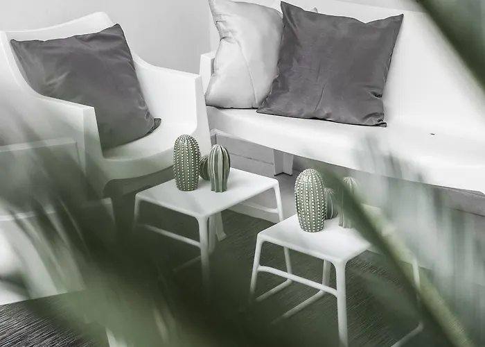 Daire Moma Business *