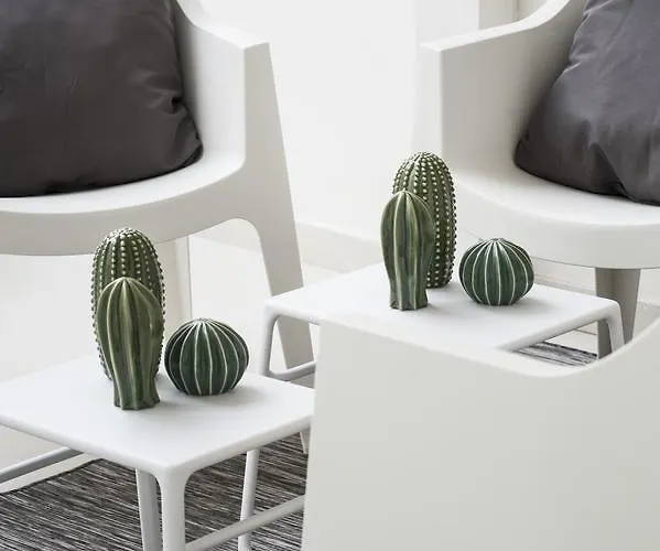 Moma Business * Molfetta